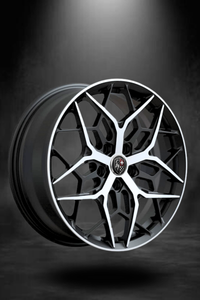 Ändern 3028 Forged Wheel Set for BMW X5 / X6 / X7
